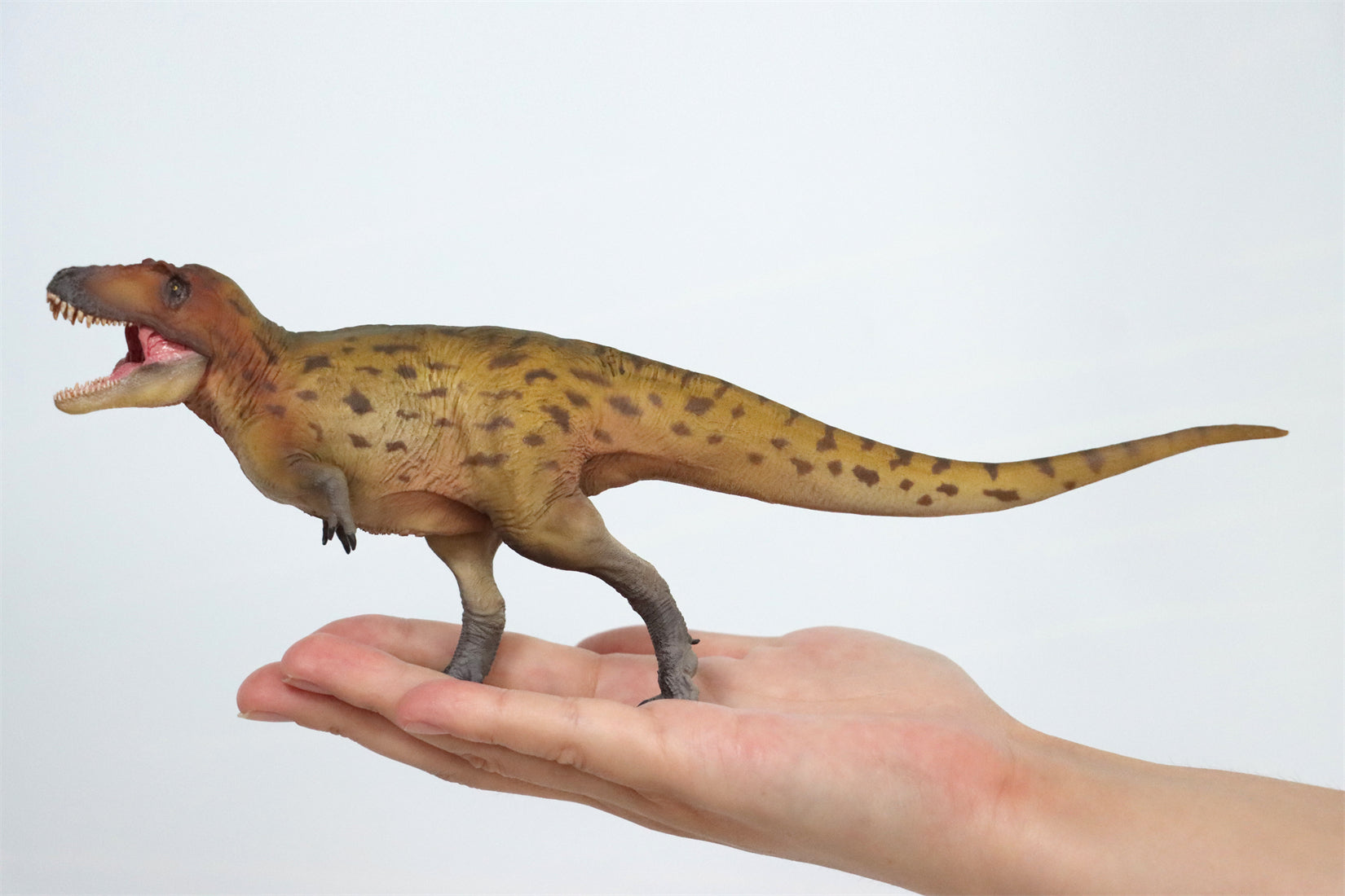PNSO Lythronax Keynes Model