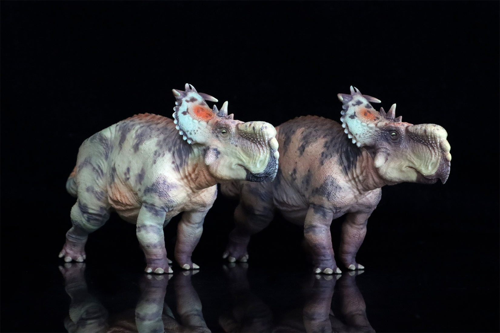 HAOLONGGOOD 1:35 Scale Pachyrhinosaurus Model
