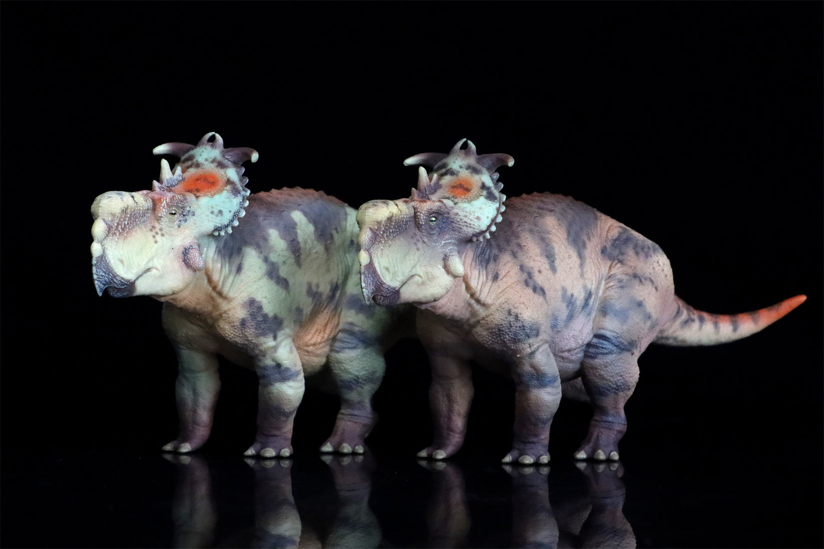 HAOLONGGOOD 1:35 Scale Pachyrhinosaurus Model