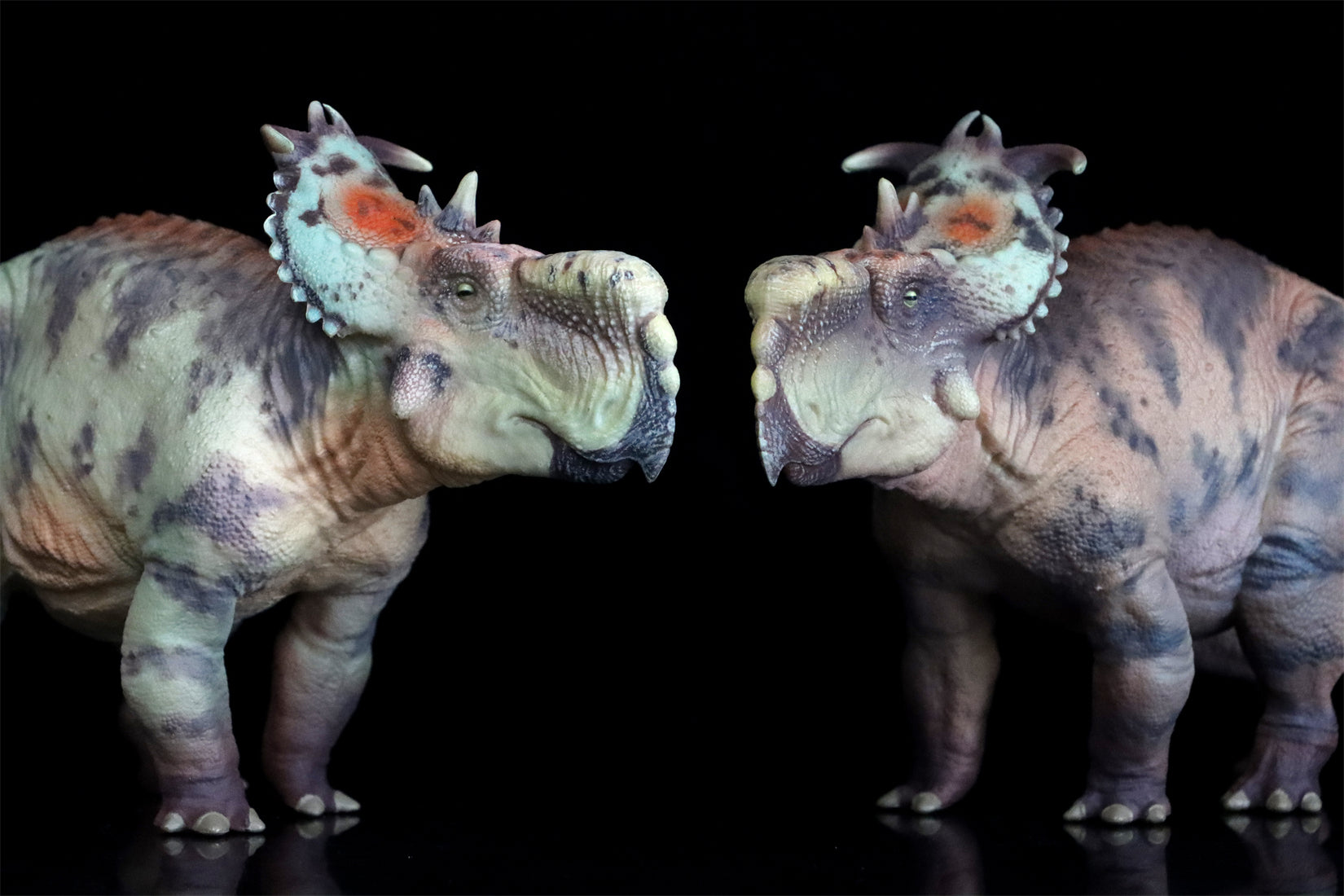 HAOLONGGOOD 1:35 Scale Pachyrhinosaurus Model