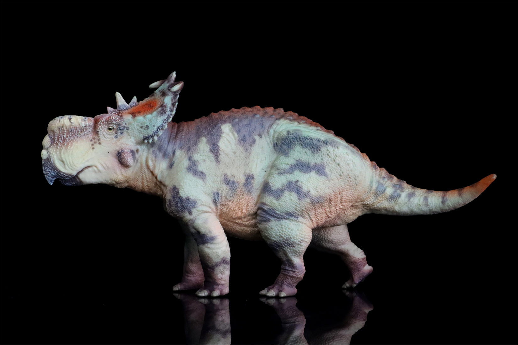 HAOLONGGOOD 1:35 Scale Pachyrhinosaurus Model