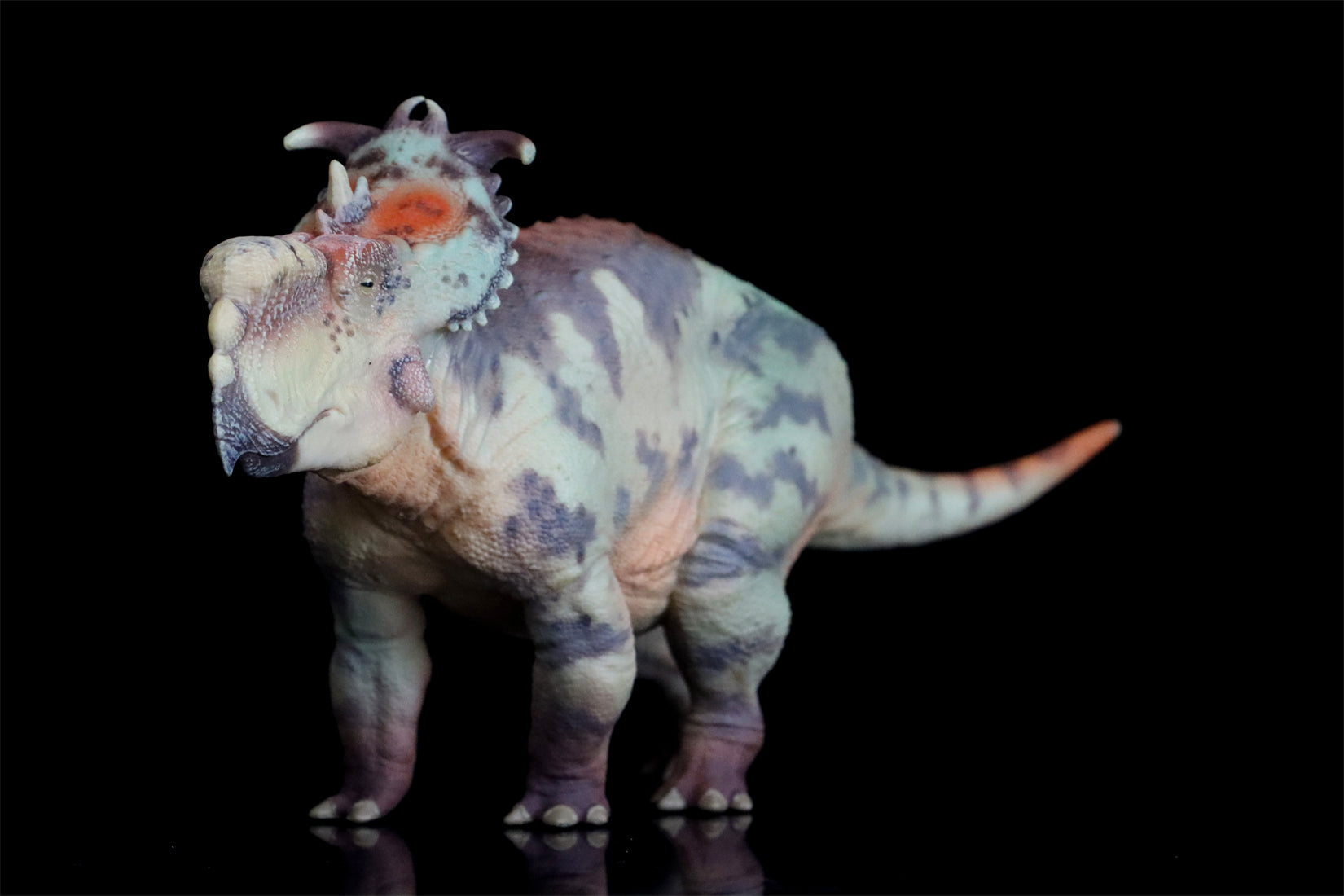 HAOLONGGOOD 1:35 Scale Pachyrhinosaurus Model