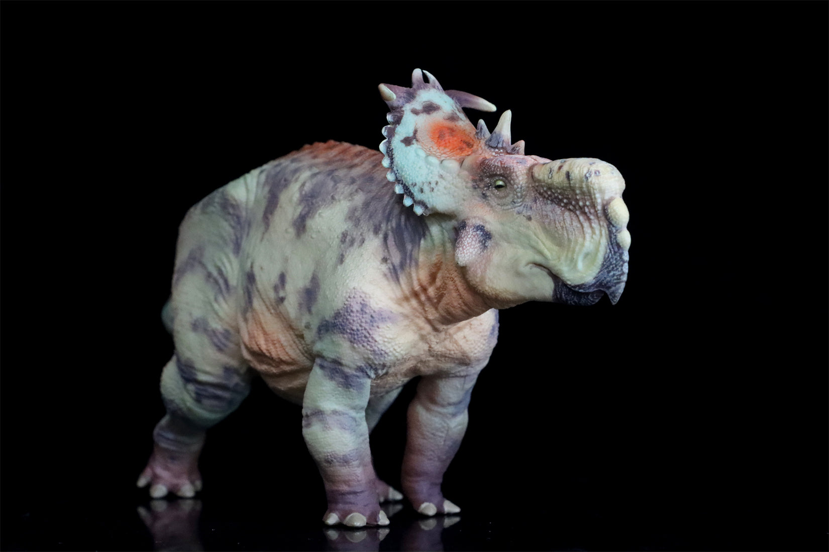 HAOLONGGOOD 1:35 Scale Pachyrhinosaurus Model
