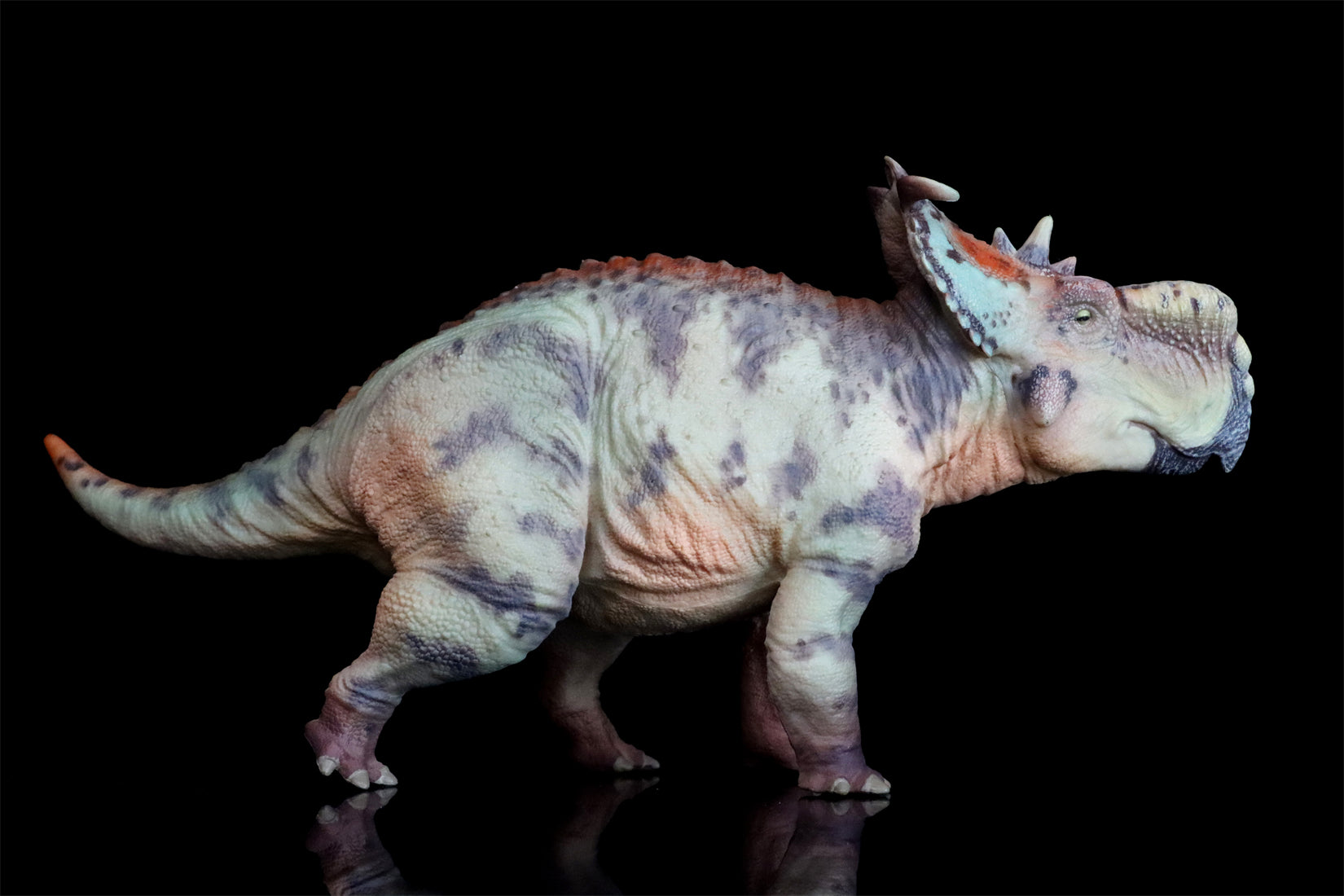 HAOLONGGOOD 1:35 Scale Pachyrhinosaurus Model