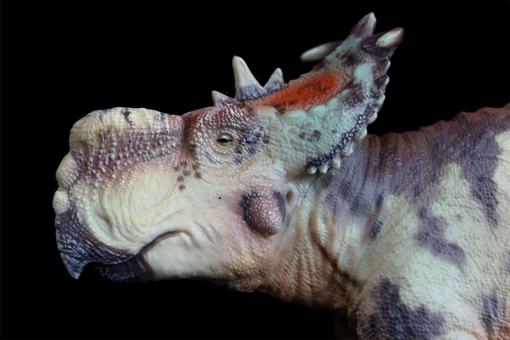 HAOLONGGOOD 1:35 Scale Pachyrhinosaurus Model