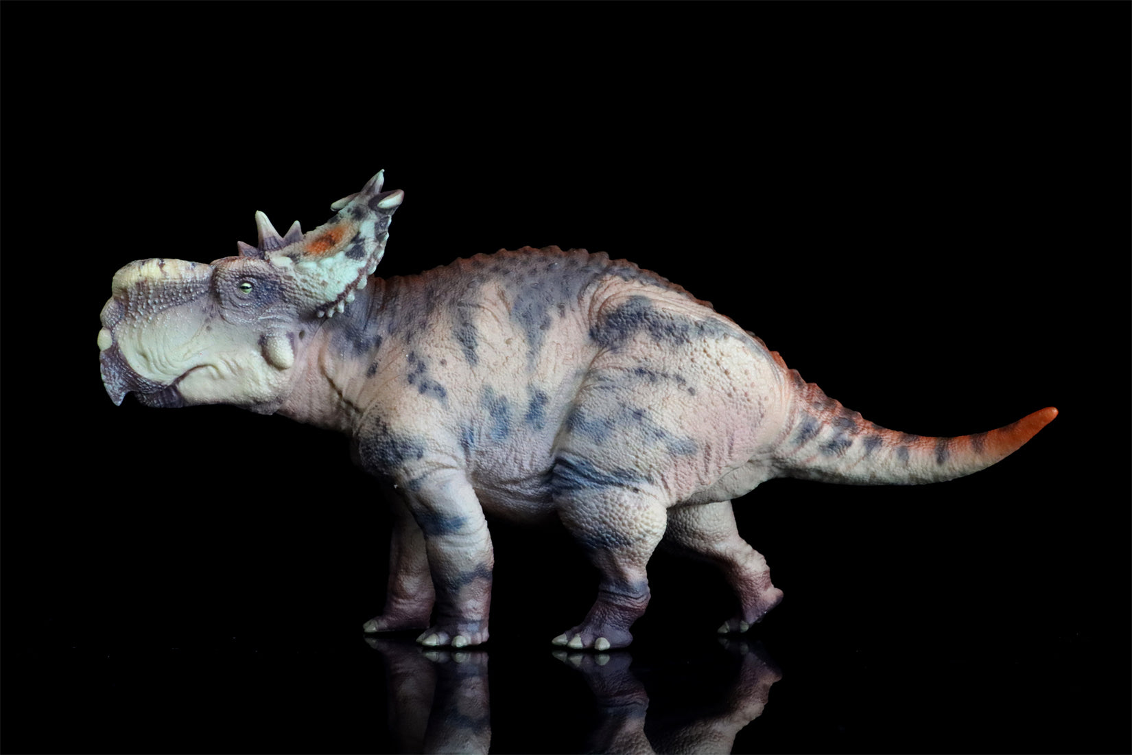 HAOLONGGOOD 1:35 Scale Pachyrhinosaurus Model
