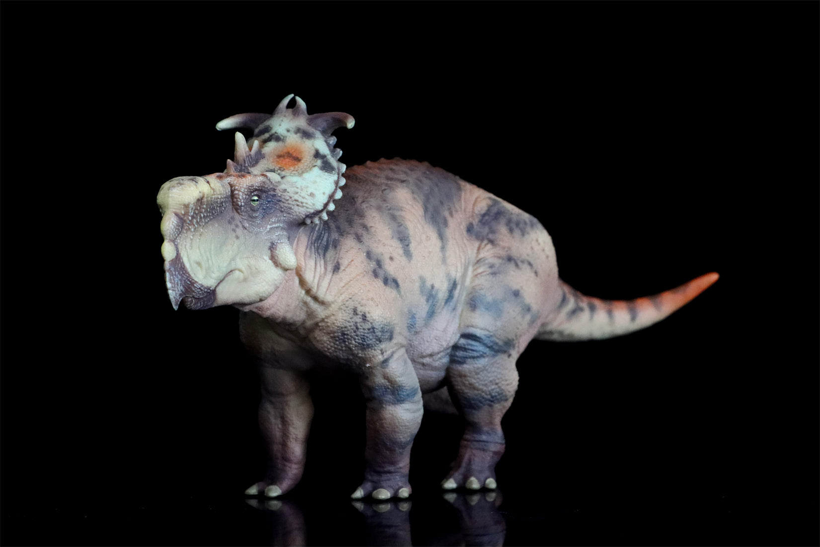 HAOLONGGOOD 1:35 Scale Pachyrhinosaurus Model