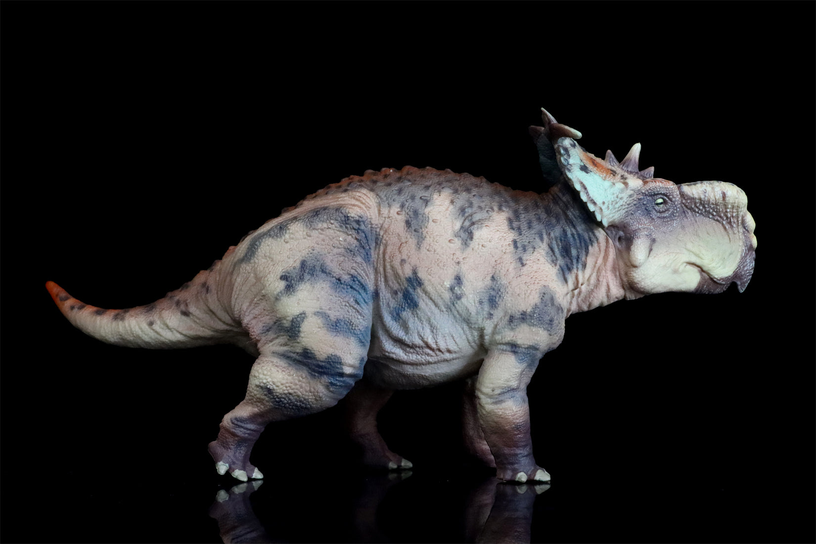 HAOLONGGOOD 1:35 Scale Pachyrhinosaurus Model