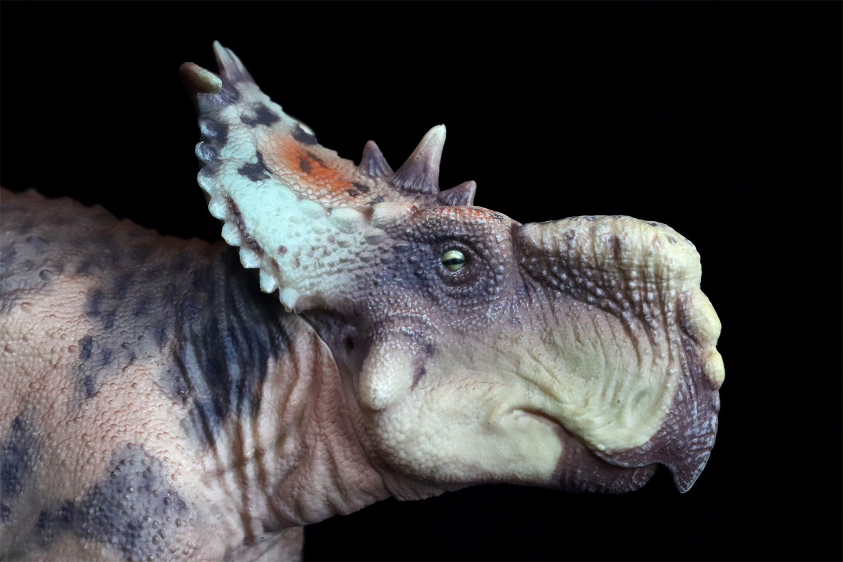 HAOLONGGOOD 1:35 Scale Pachyrhinosaurus Model
