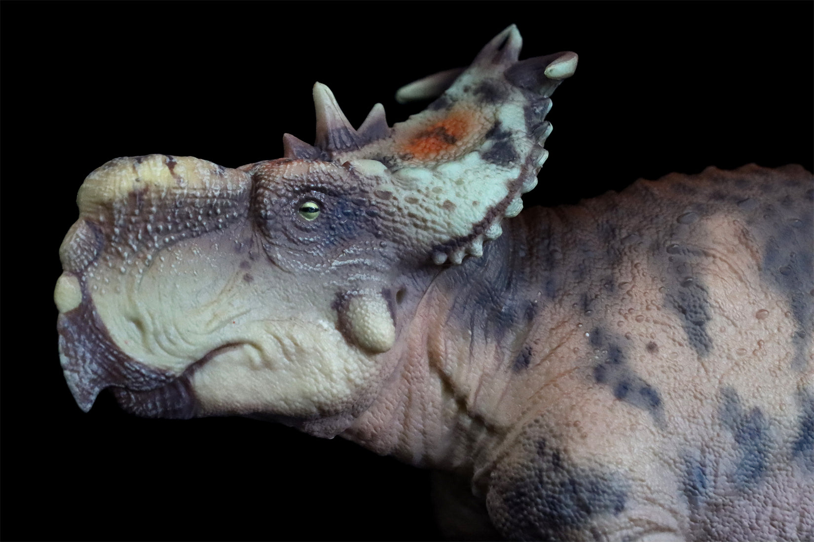 HAOLONGGOOD 1:35 Scale Pachyrhinosaurus Model