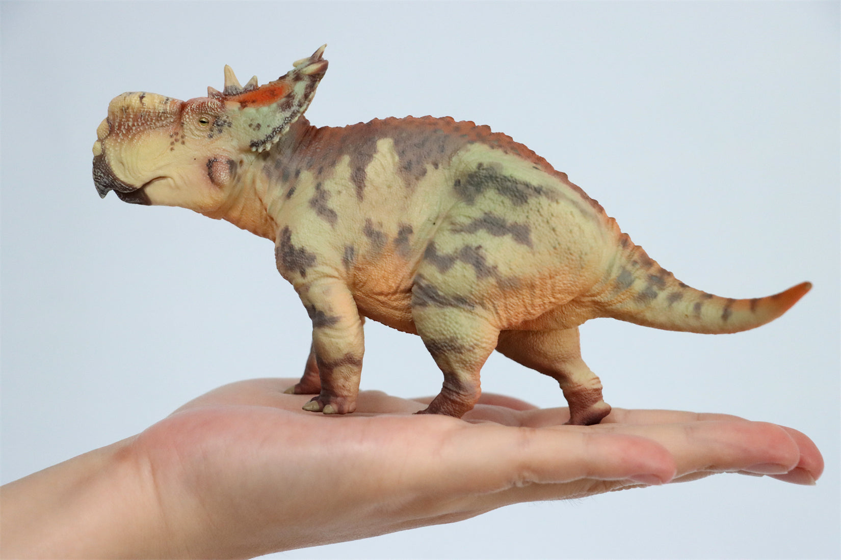 HAOLONGGOOD 1:35 Scale Pachyrhinosaurus Model