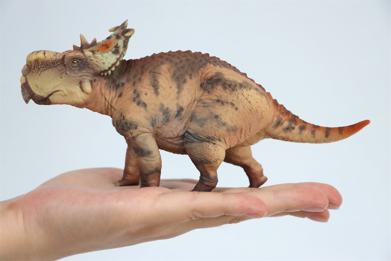 HAOLONGGOOD 1:35 Scale Pachyrhinosaurus Model
