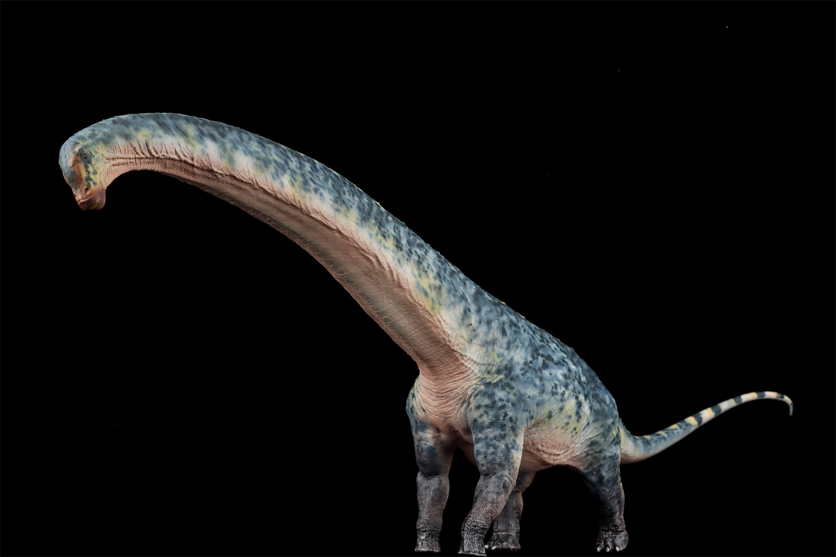HAOLONGGOOD 1:35 Scale Dreadnoughtus Model