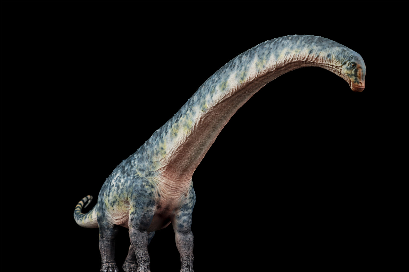 HAOLONGGOOD 1:35 Scale Dreadnoughtus Model