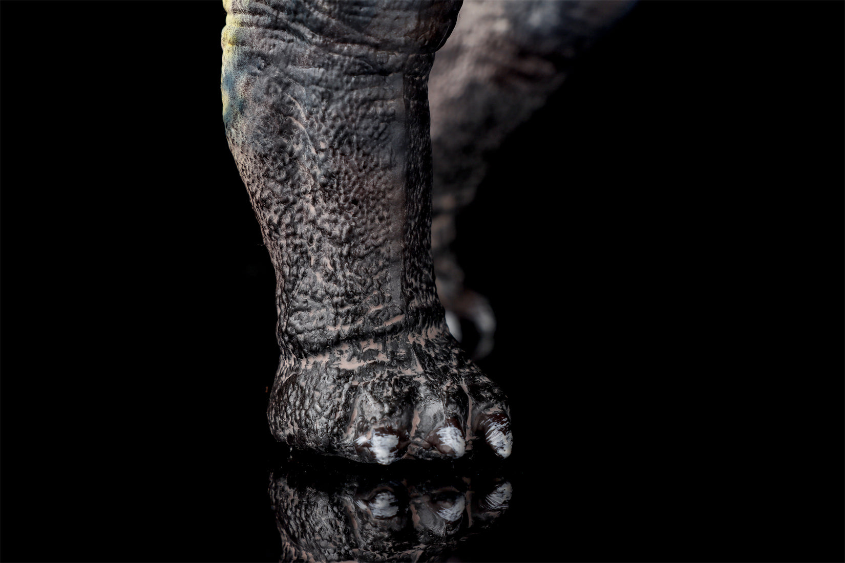 HAOLONGGOOD 1:35 Scale Dreadnoughtus Model