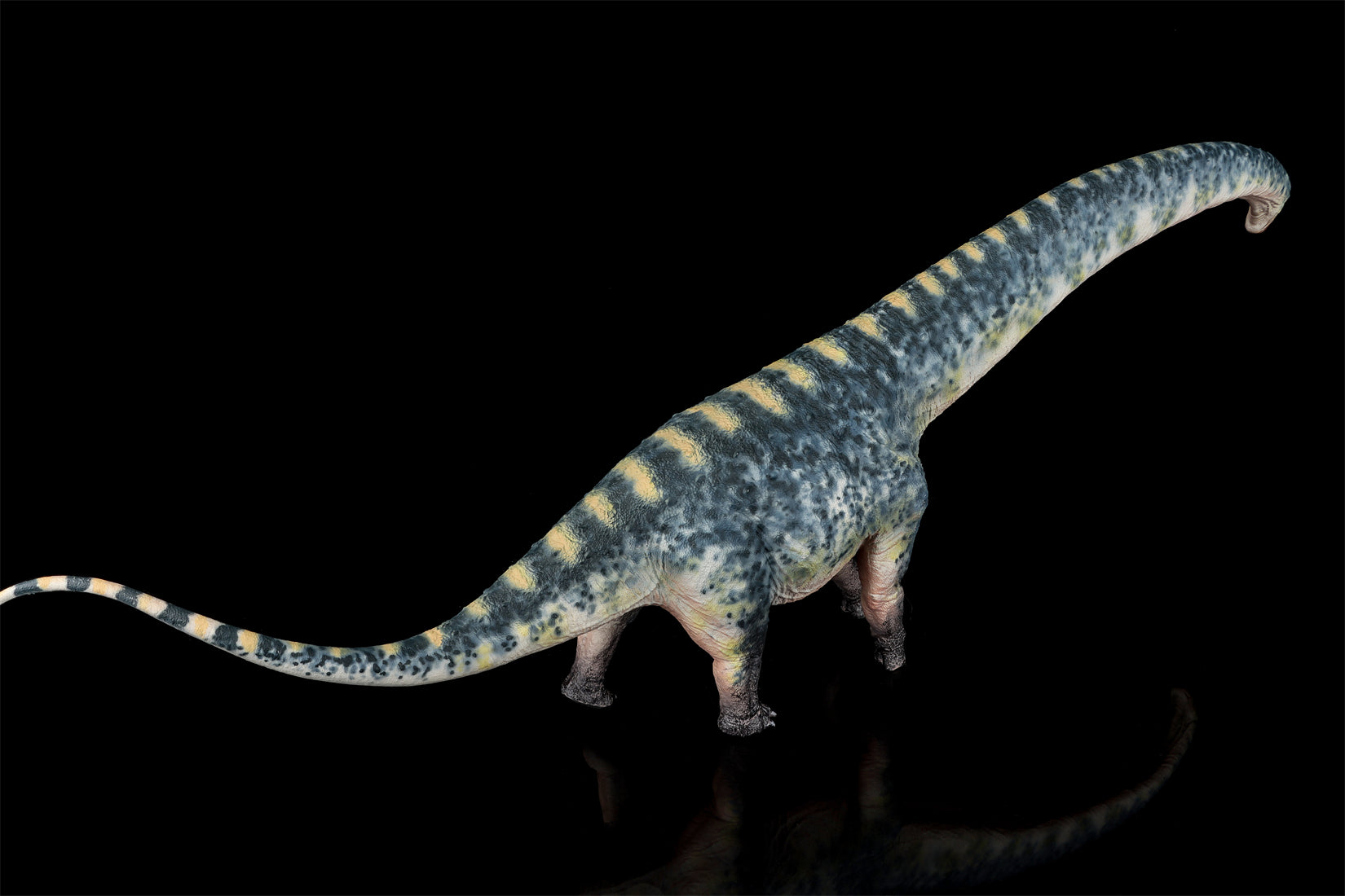 HAOLONGGOOD 1:35 Scale Dreadnoughtus Model