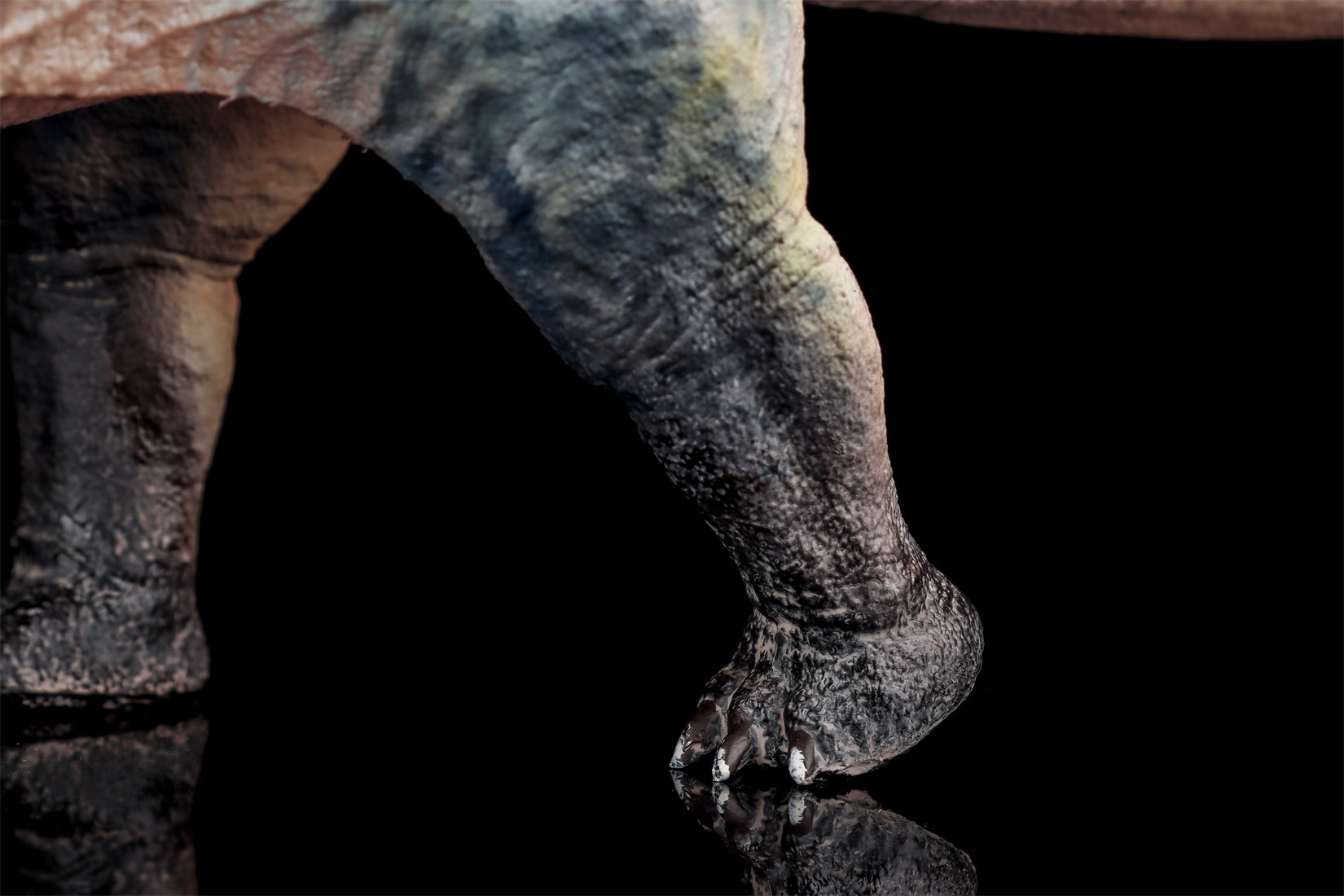 HAOLONGGOOD 1:35 Scale Dreadnoughtus Model