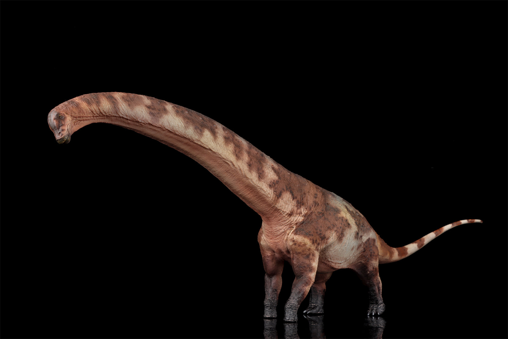 HAOLONGGOOD 1:35 Scale Dreadnoughtus Model
