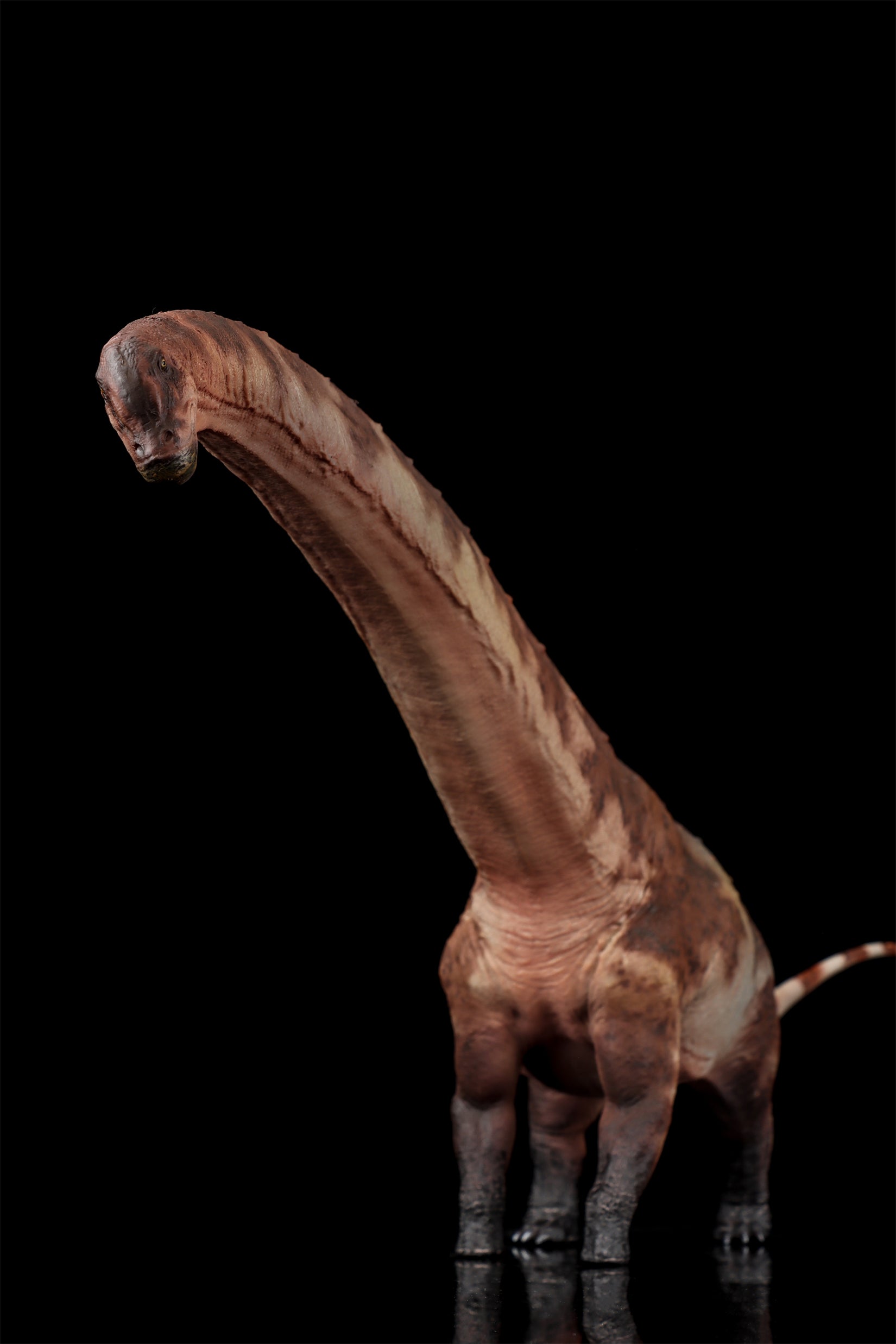 HAOLONGGOOD 1:35 Scale Dreadnoughtus Model