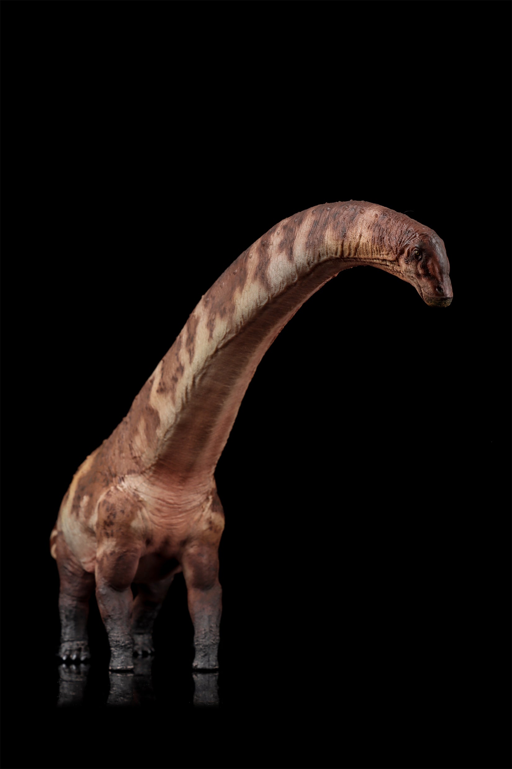 HAOLONGGOOD 1:35 Scale Dreadnoughtus Model