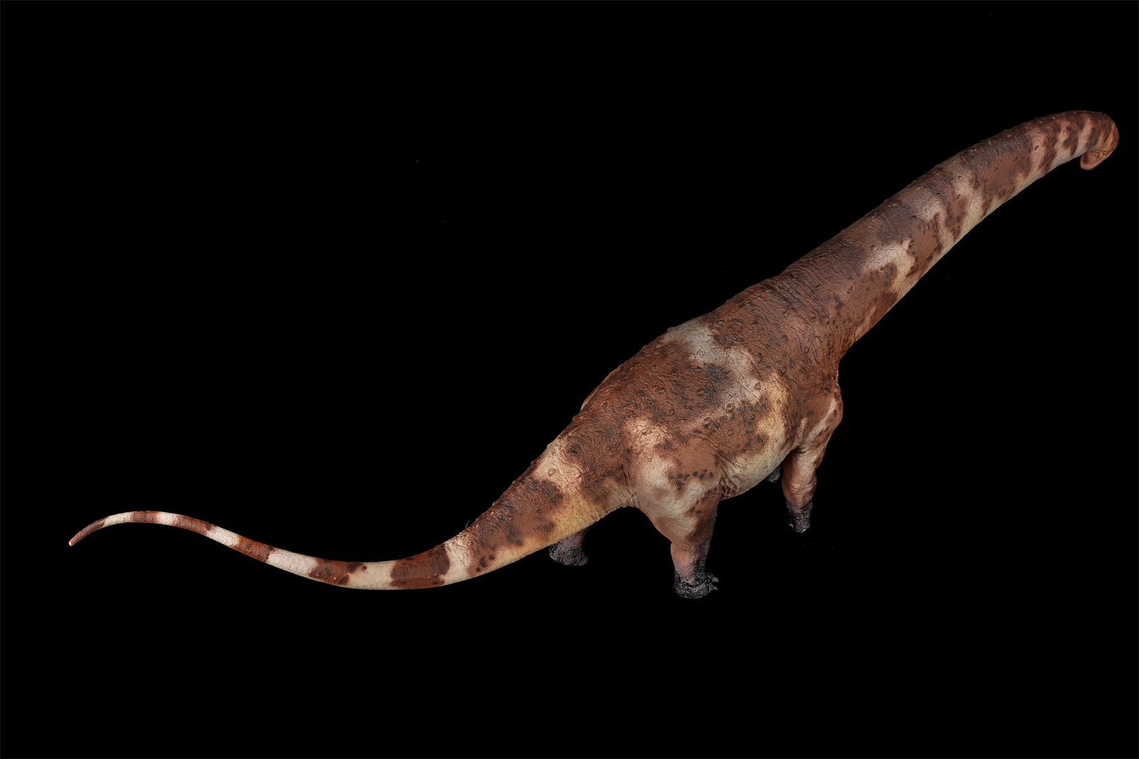 HAOLONGGOOD 1:35 Scale Dreadnoughtus Model