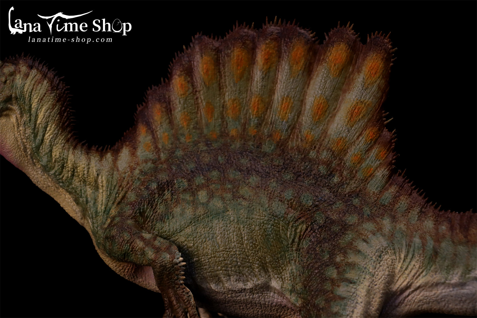 LANATIMESHOP 1:35 Scale Spinosaurus Fang Model