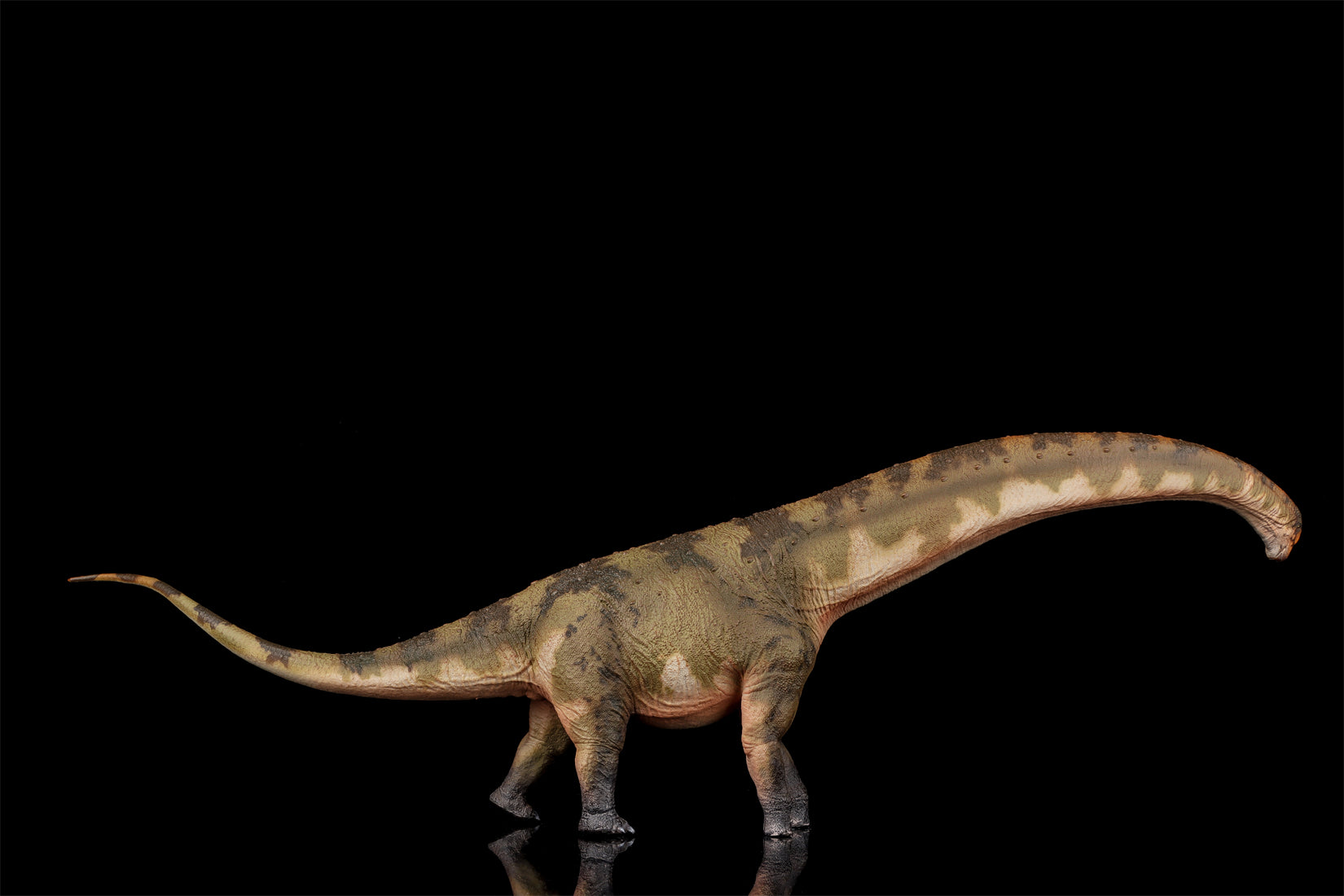 HAOLONGGOOD 1:35 Scale Dreadnoughtus Model
