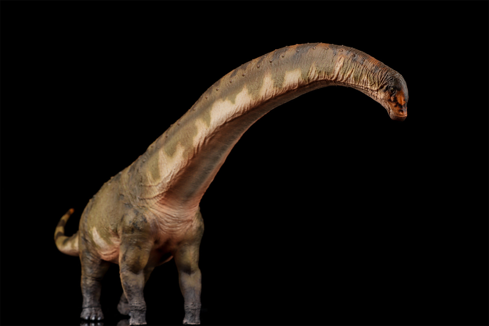 HAOLONGGOOD 1:35 Scale Dreadnoughtus Model
