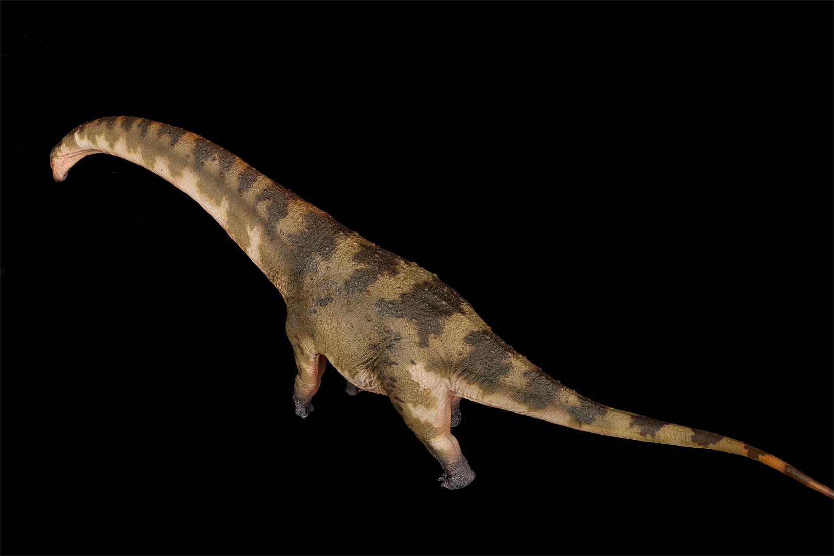 HAOLONGGOOD 1:35 Scale Dreadnoughtus Model