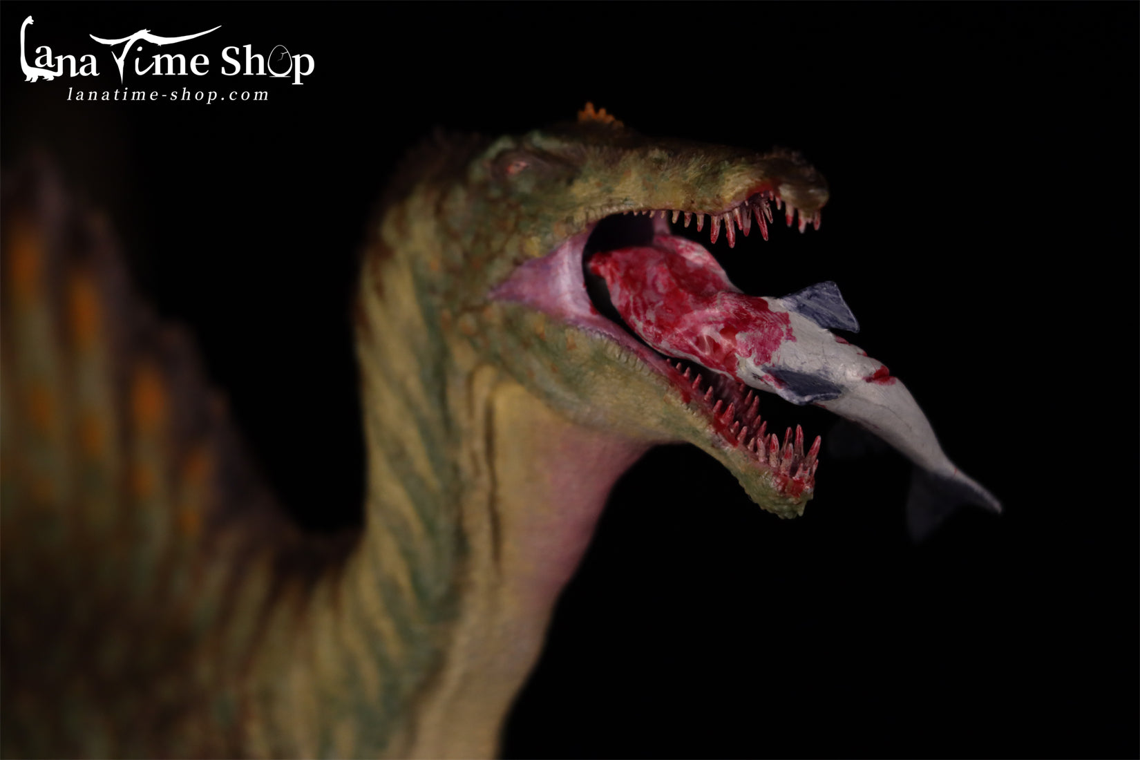 LANATIMESHOP 1:35 Scale Spinosaurus Fang Model
