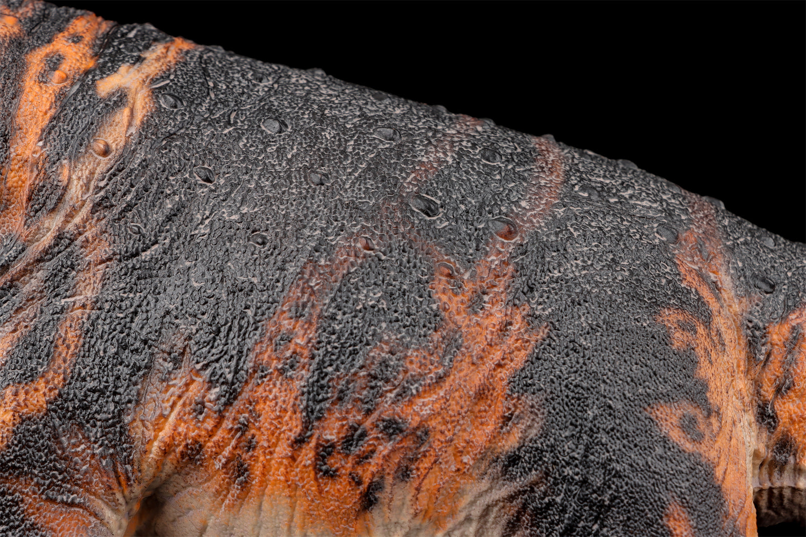 HAOLONGGOOD 1:35 Scale Dreadnoughtus Model