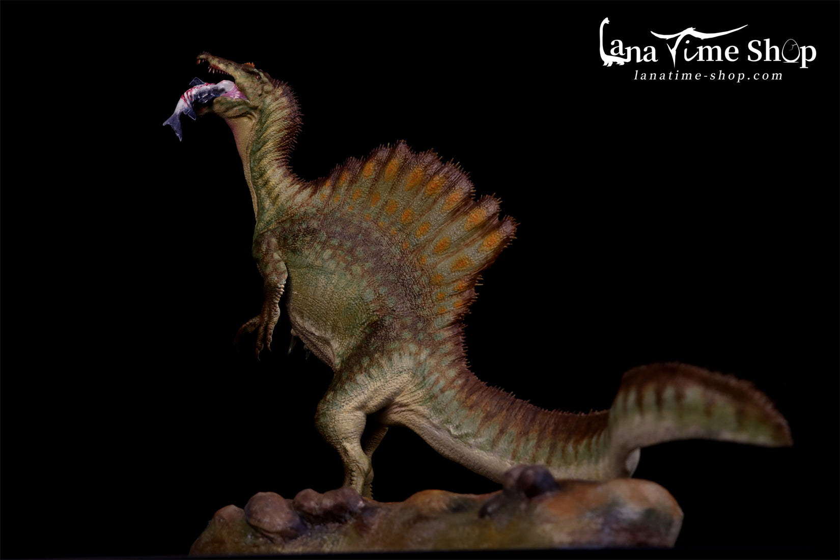 LANATIMESHOP 1:35 Scale Spinosaurus Fang Model