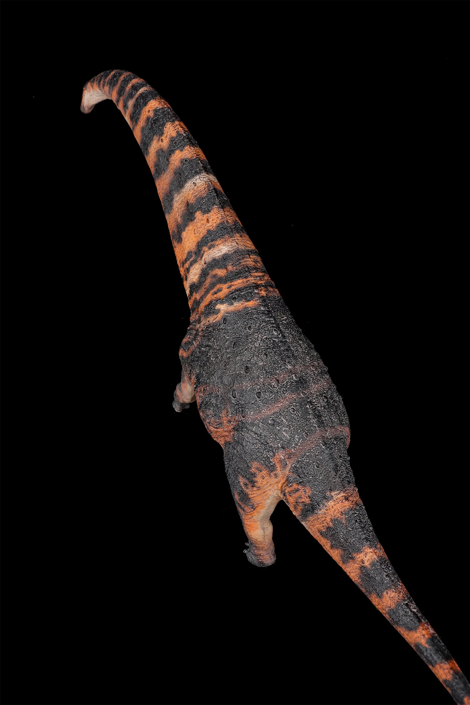HAOLONGGOOD 1:35 Scale Dreadnoughtus Model