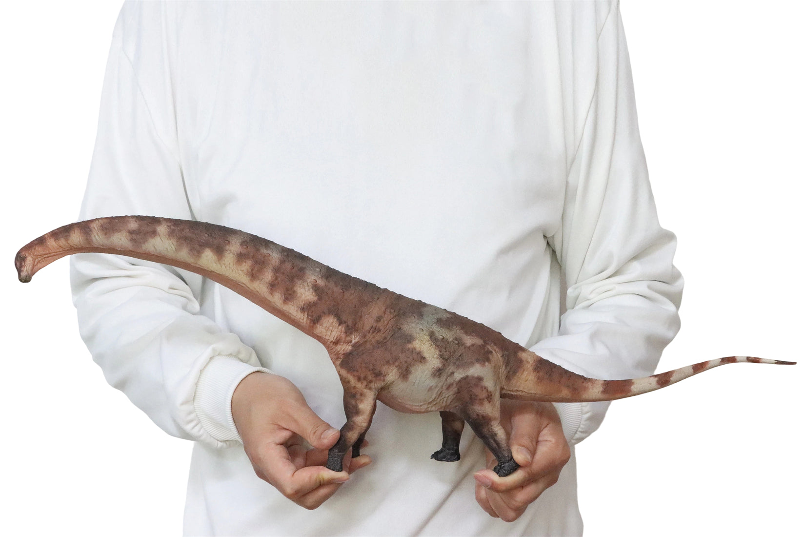 HAOLONGGOOD 1:35 Scale Dreadnoughtus Model