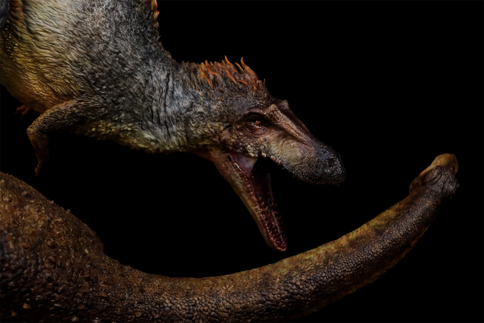 Anningpale 1:15 Scale Gualicho VS Bonatitan reigi Statue