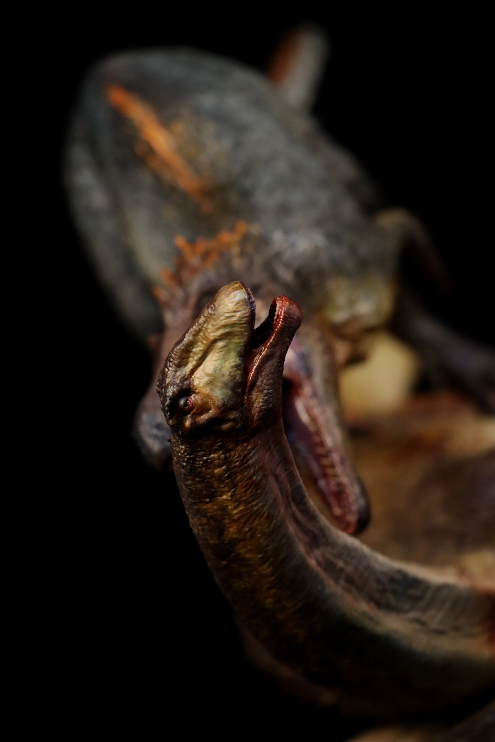 Anningpale 1:15 Scale Gualicho VS Bonatitan reigi Statue