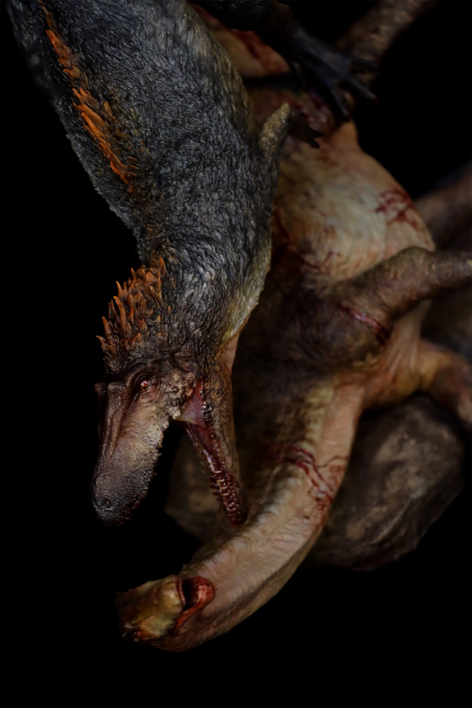 Anningpale 1:15 Scale Gualicho VS Bonatitan reigi Statue