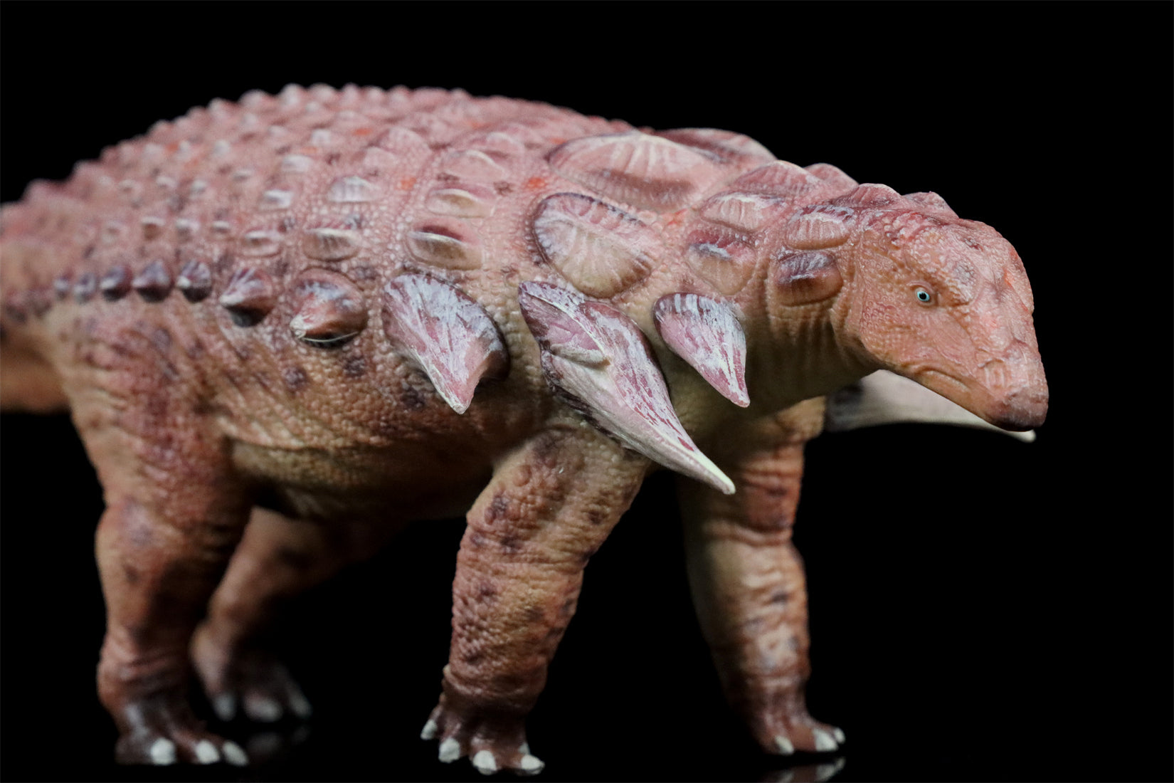 HAOLONGGOOD 1:35 Scale Edmontonia Model