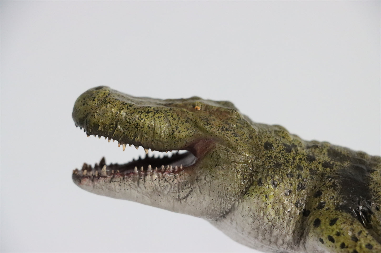 Rheic 1/35 Purussaurus Model Painted Version