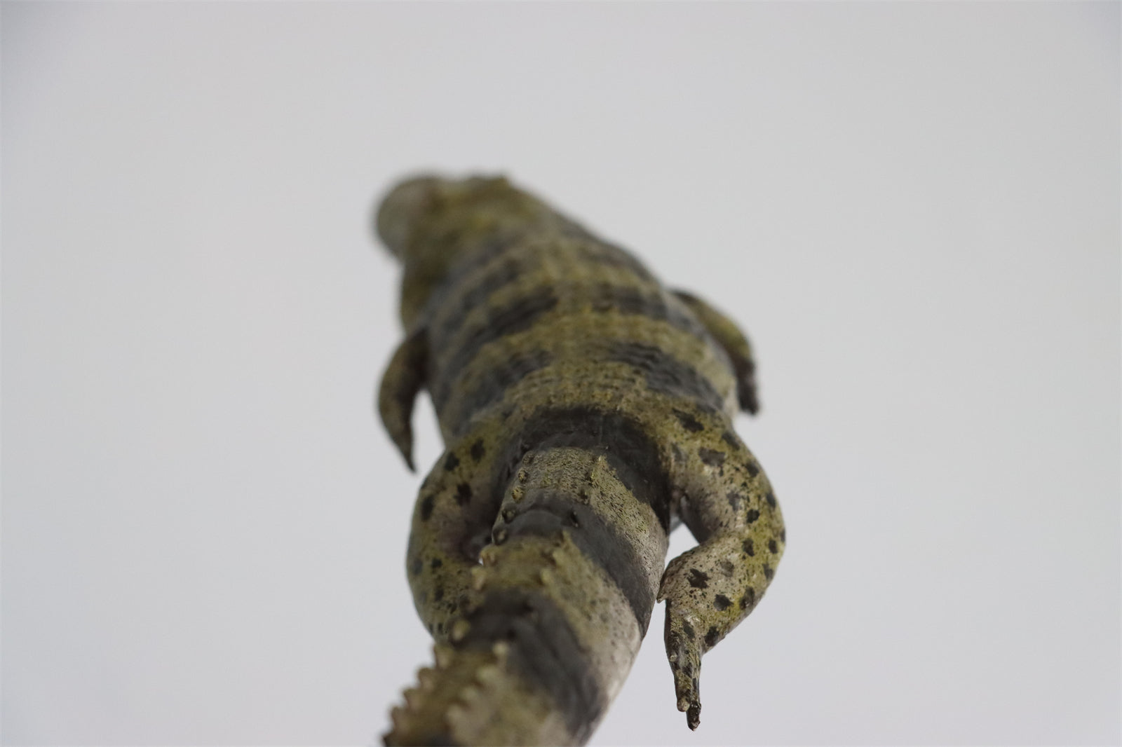 Rheic 1/35 Purussaurus Model Painted Version