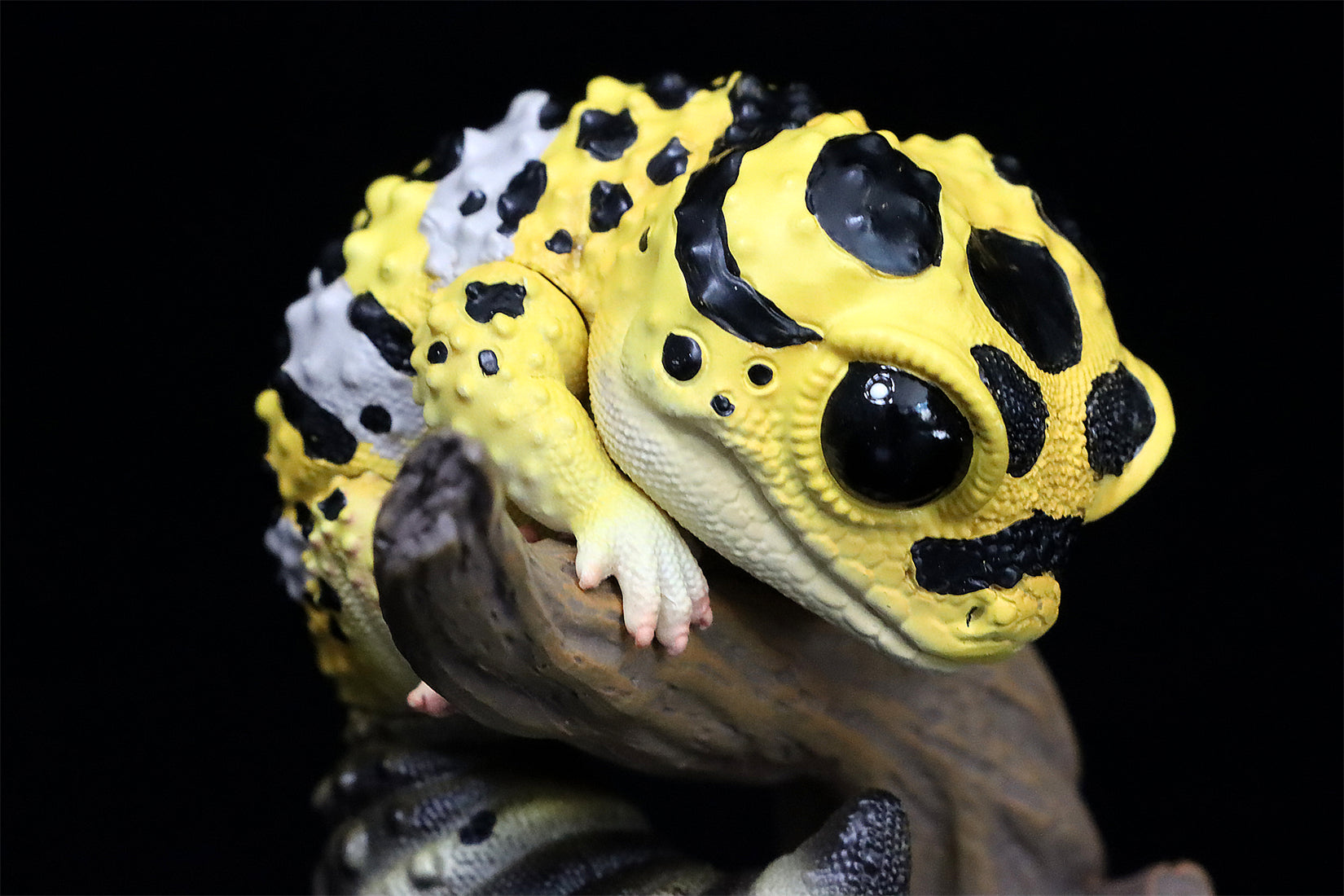 Gekko Gecko 02 Series Blind Box Model