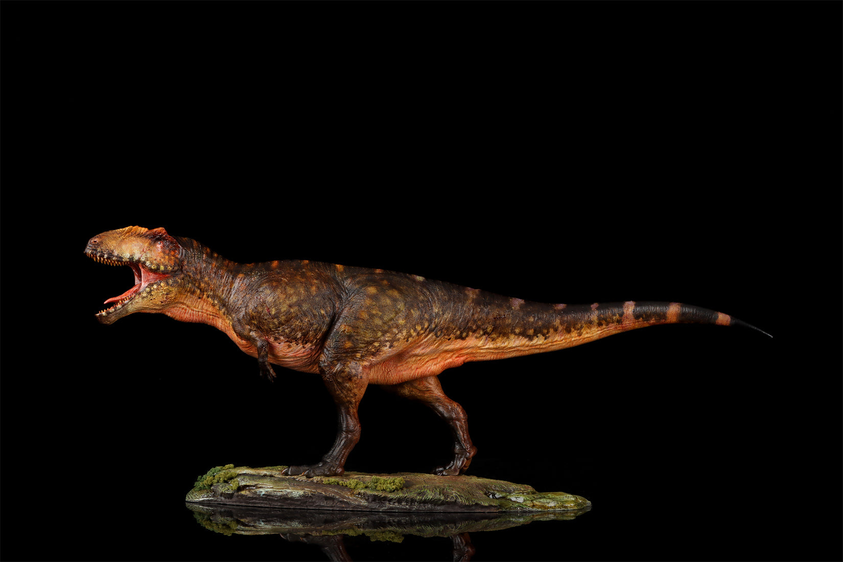 Anningpale 1/35 Scale Tyrannotitan chubutensis Model