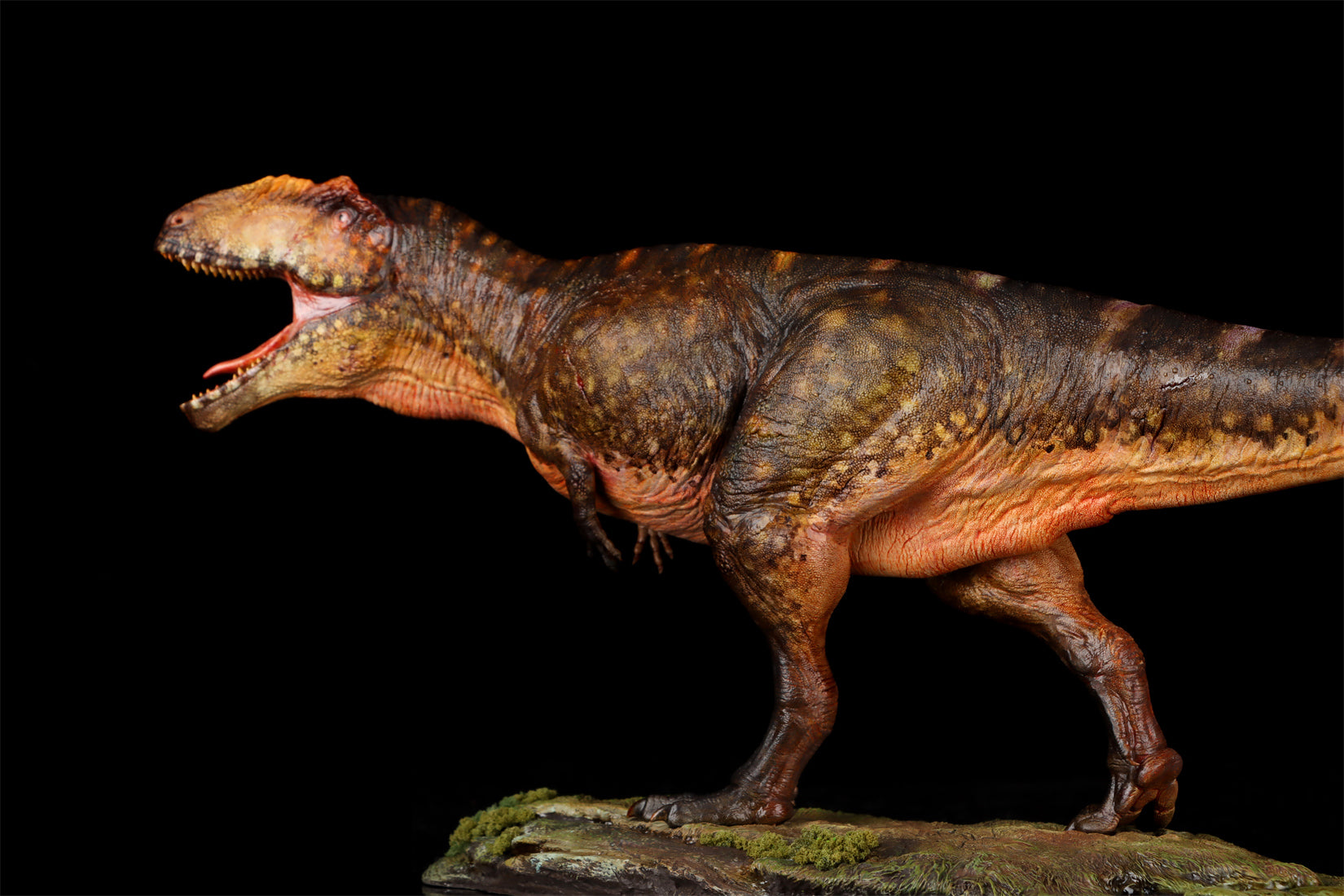 Anningpale 1/35 Scale Tyrannotitan chubutensis Model