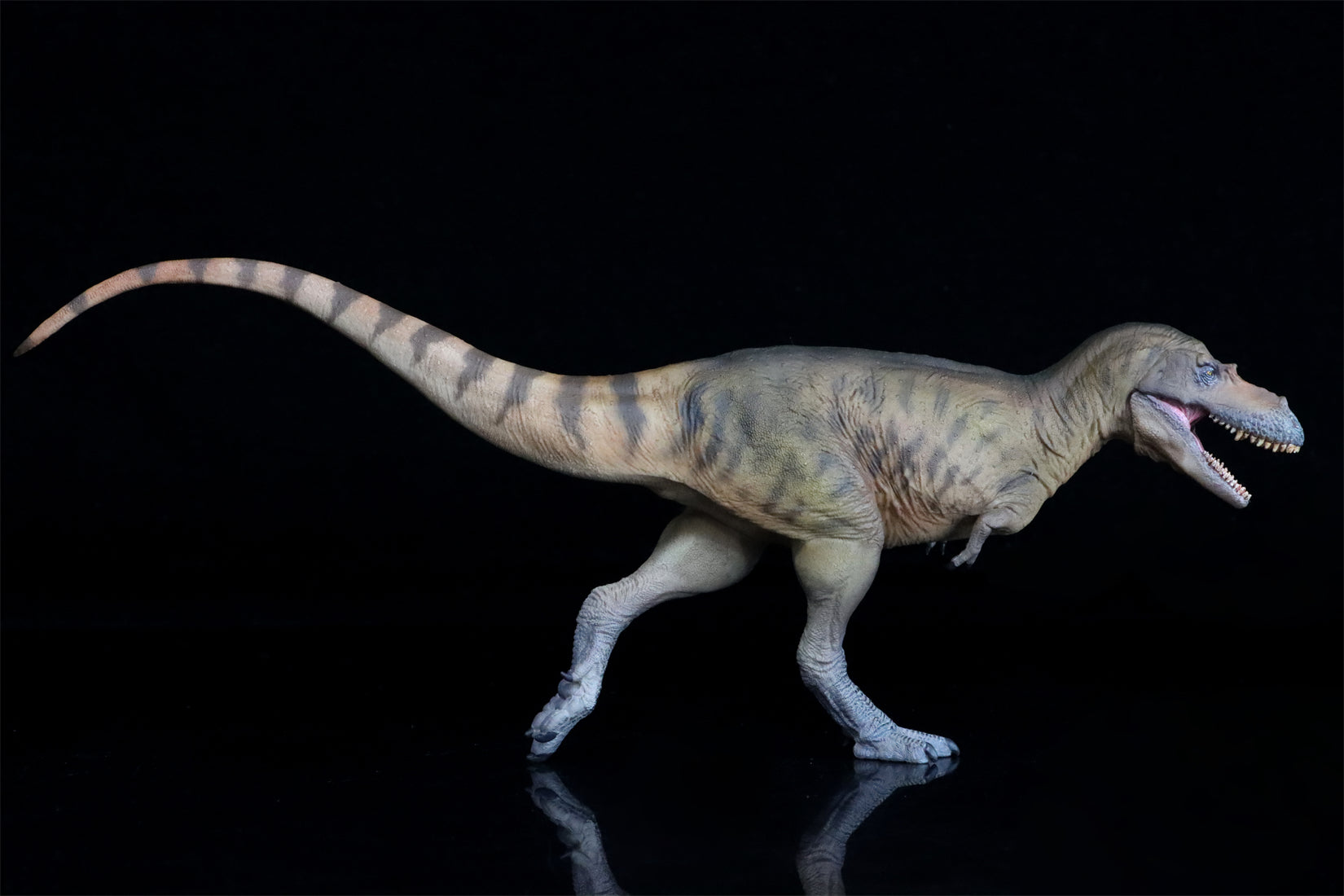 PNSO Albertosaurus Wally Model