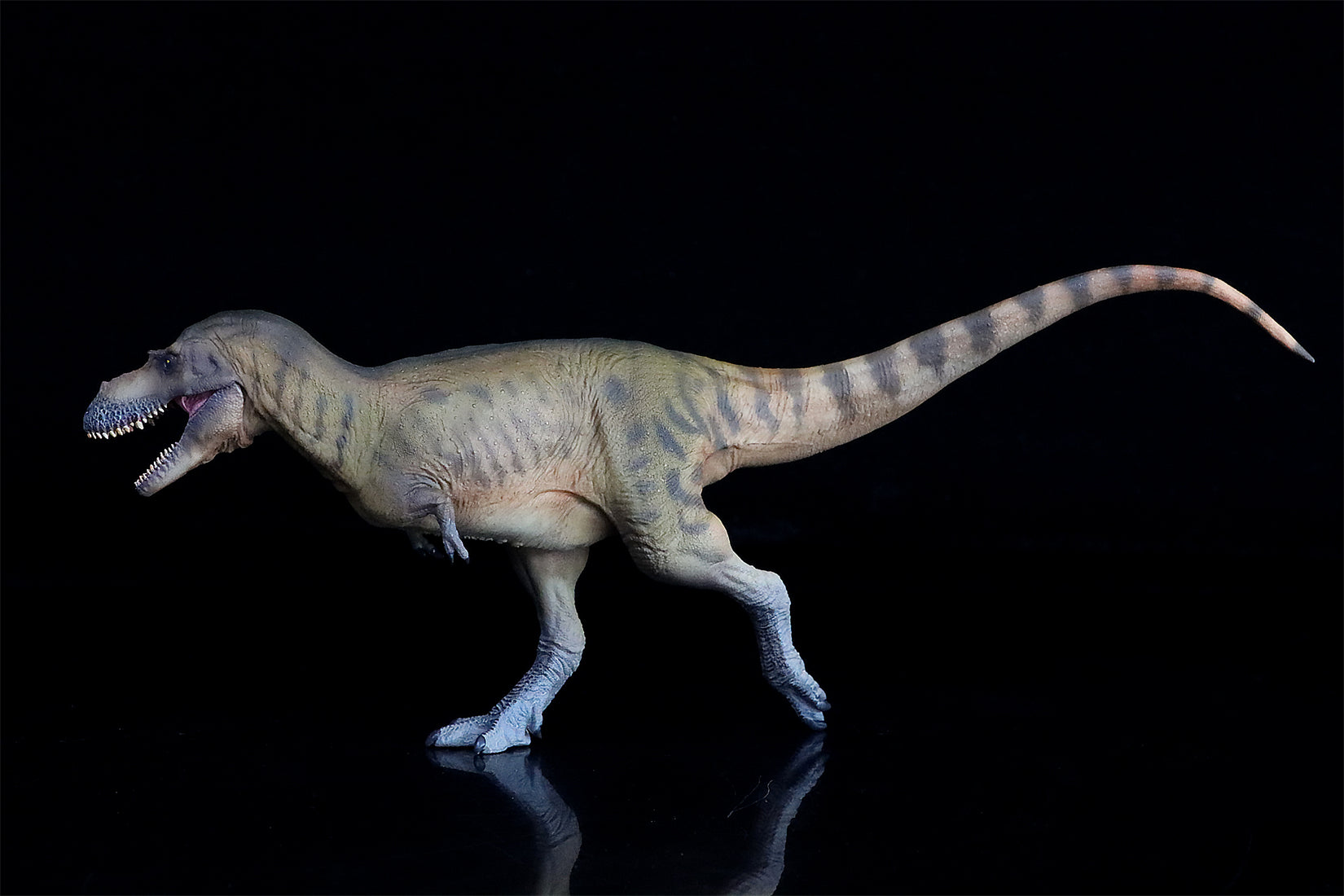 PNSO Albertosaurus Wally Model