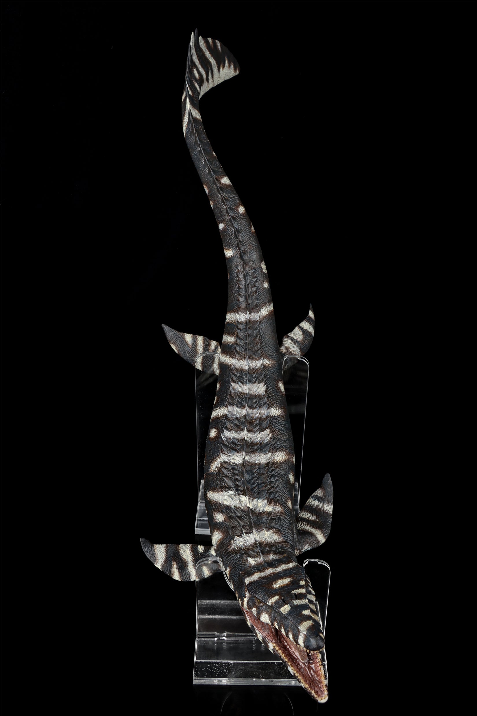 Nanmu Mosasaurus 2.0 Lord of Abyss Figure