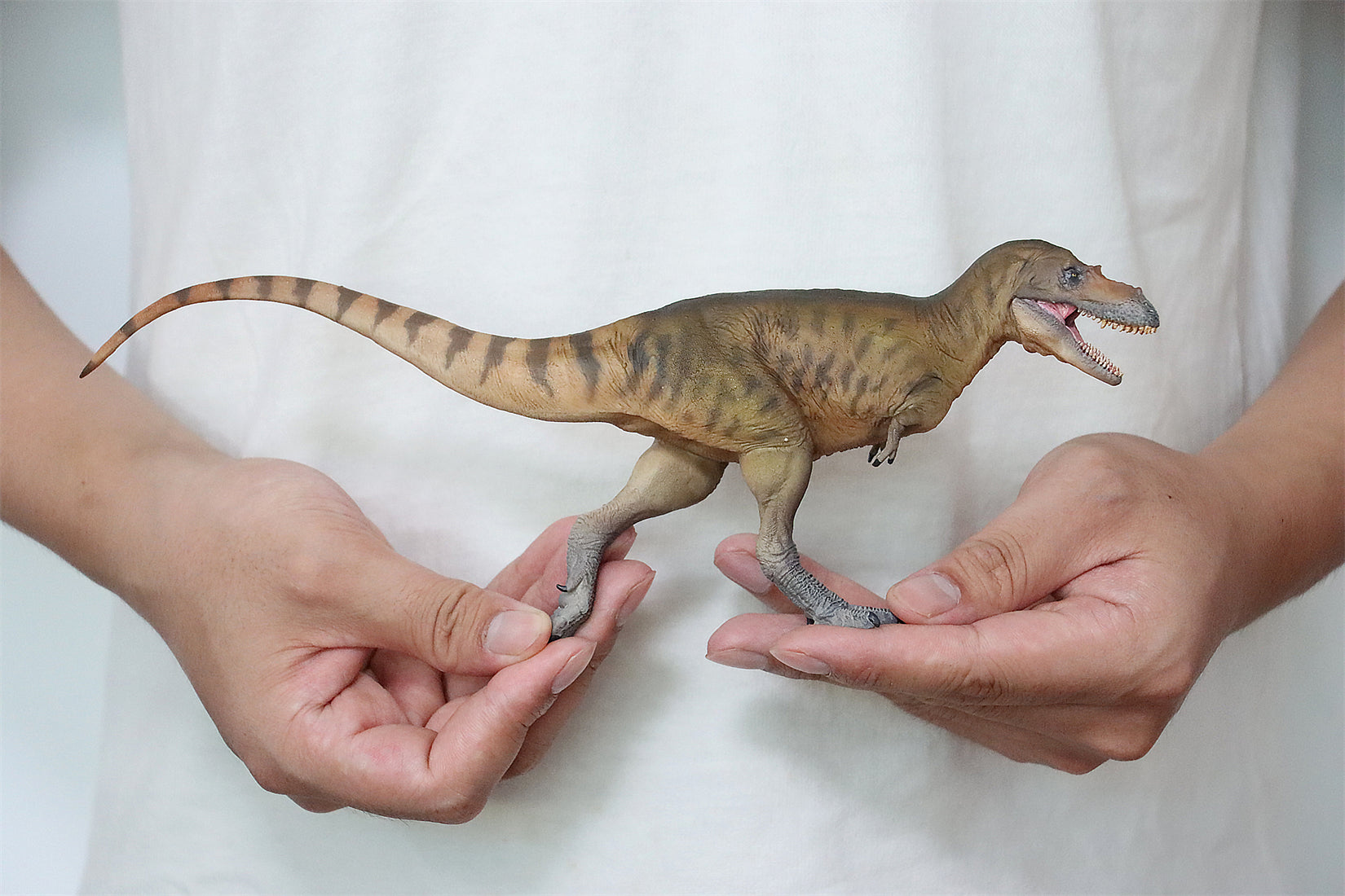 PNSO Albertosaurus Wally Model