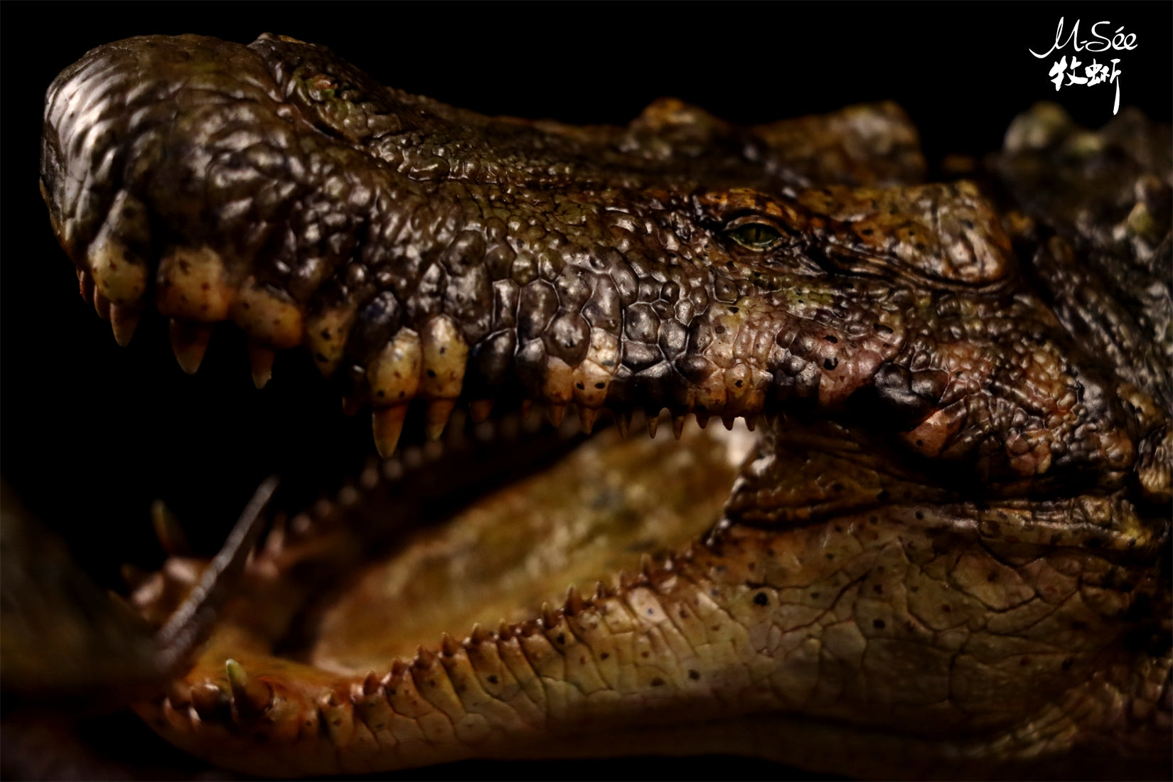 MuSee Studio Purussaurus Hunting Stupendemys Scene