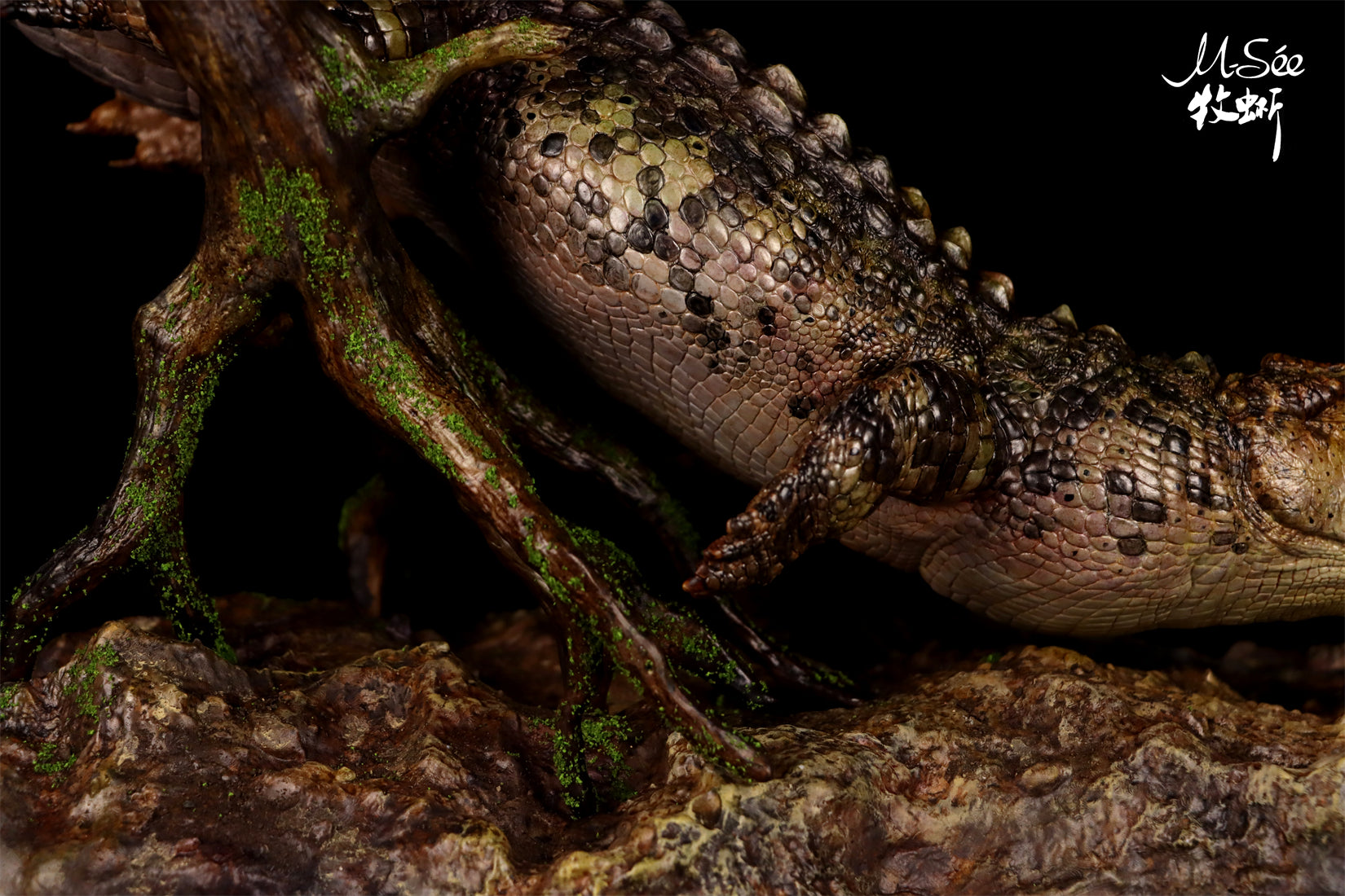 MuSee Studio Purussaurus Hunting Stupendemys Scene