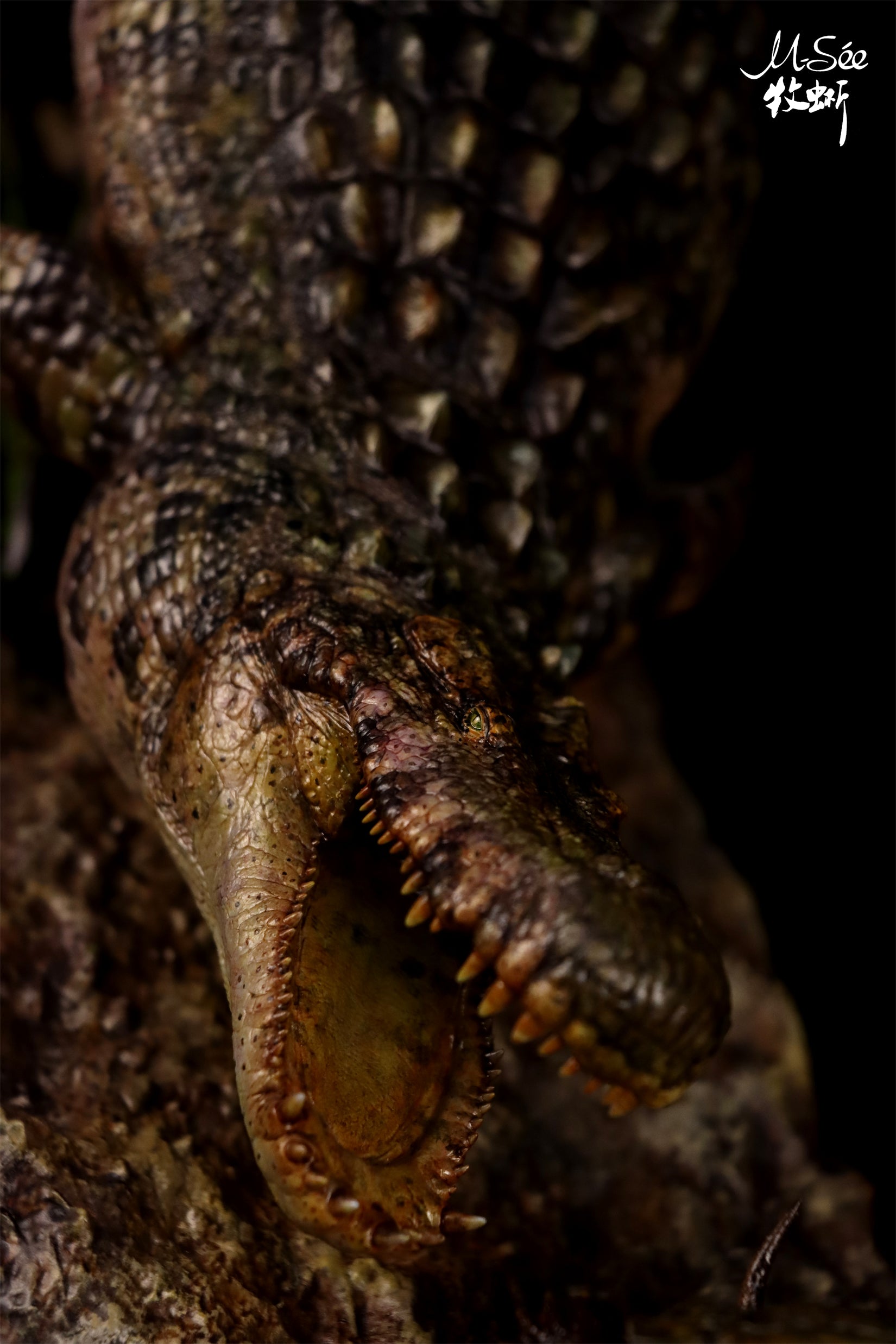 MuSee Studio Purussaurus Hunting Stupendemys Scene